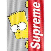 Brand Catalog-ZX 981